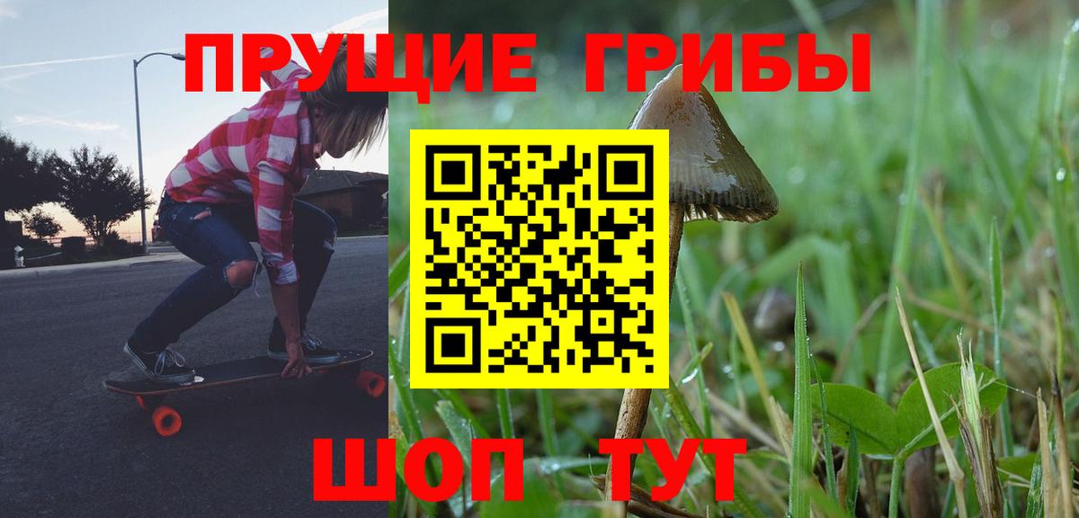 Галлюциногенные грибы Magic Shrooms  Вход с VPN  Кудрово 