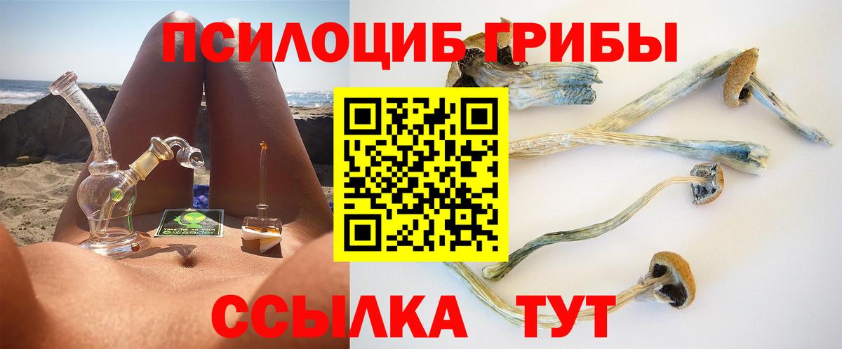 Псилоцибиновые грибы прущие грибы Кудрово